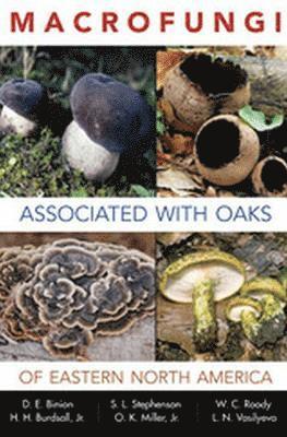 bokomslag Macrofungi Associated with Oaks of Eastern North America