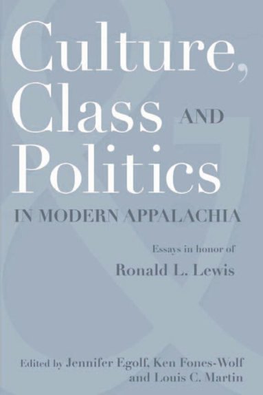 bokomslag Culture, Class, and Politics in Modern Appalachia