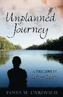 bokomslag Unplanned Journey: A Triumph in Life and Death
