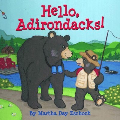 Hello, Adirondacks! 1