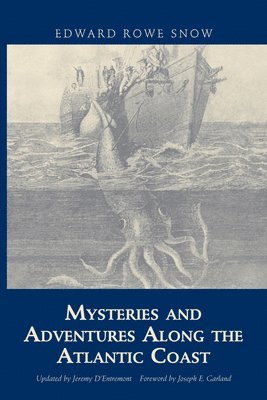 bokomslag Mysteries and Adventures Along the Atlantic Coast