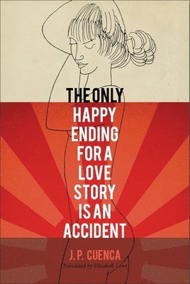 bokomslag The Only Happy Ending for a Love Story Is an Accident: Volume 4