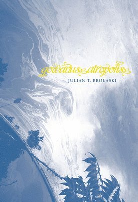Julian Talamantez Brolaski - Gowanus Atropolis, Häftad