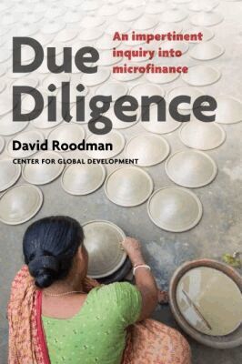 David Roodman - Due Diligence, Häftad