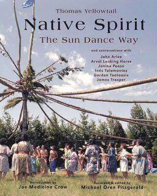 bokomslag Native Spirit