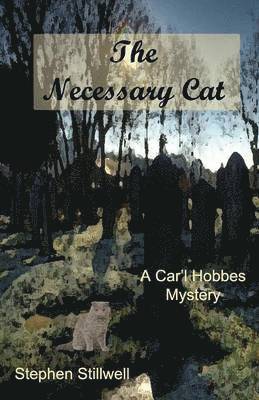 bokomslag Necessary Cat