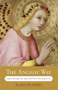 bokomslag The Angelic Way