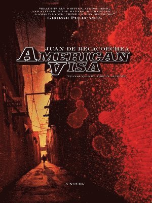 American Visa 1