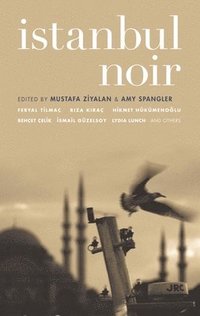 bokomslag Istanbul Noir