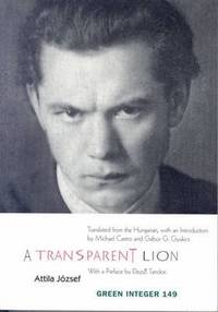 bokomslag A Transparent Lion