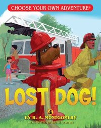 bokomslag Lost Dog!