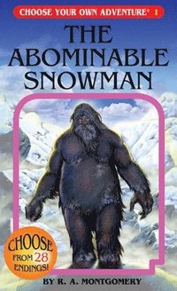 bokomslag Abominable Snowman