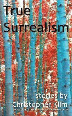 bokomslag True Surrealism