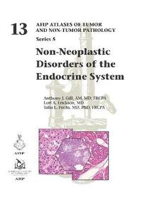 bokomslag Non-Neoplastic Disorders of the Endocrine System