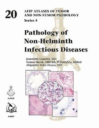bokomslag Pathology of Non-Helminth Infectious Diseases