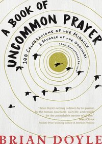 bokomslag Book of Uncommon Prayer