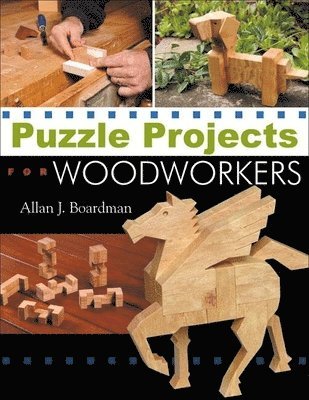 Puzzle Projects for Woodworkers 1