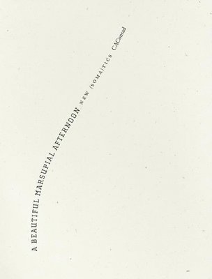 Beautiful Marsupial Afternoon