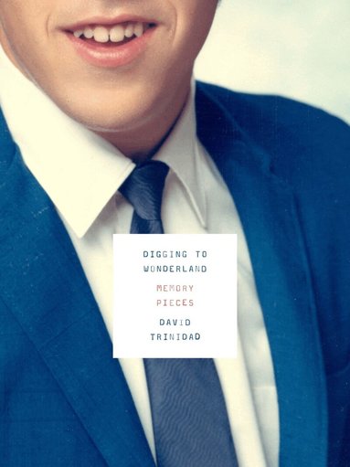 David Trinidad - Digging to Wonderland, Häftad
