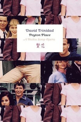 David Trinidad - Peyton Place, Häftad