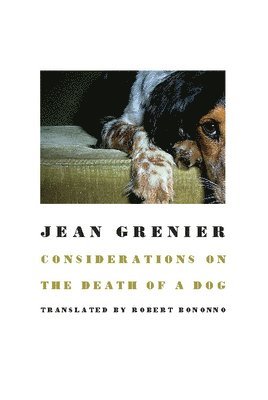 Considerations On The Death Of A Dog