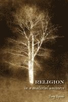 bokomslag Religion in a Material Universe