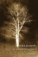 Tony Equale - Religion in a Material Universe, Häftad