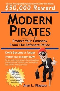 bokomslag Modern Pirates