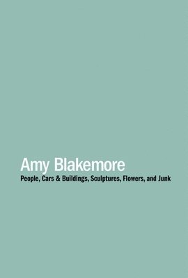 bokomslag Amy Blakemore: People, Cars & Buildings, Sculptures, Flowers, and Junk