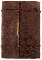 Ashes and Snow: A Novel in Letters (Japanese Language)