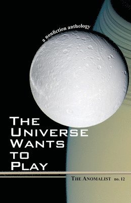Patrick Huyghe, Dennis Stacy - Universe Wants to Play, Häftad