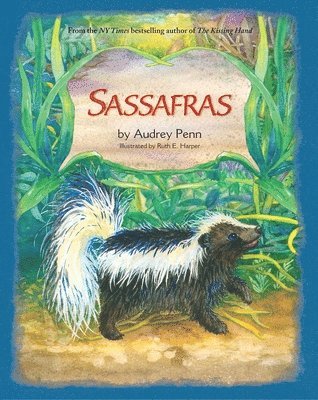 Sassafras 1