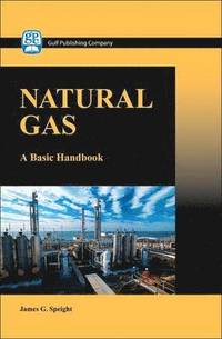 bokomslag Natural Gas