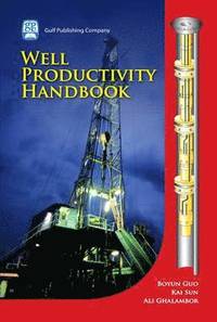bokomslag Well Productivity Handbook