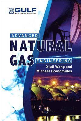 bokomslag Advanced Natural Gas Engineering