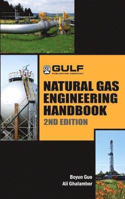 Boyan Guo, Ali Ghalambor - Natural Gas Engineering Handbook, Inbunden