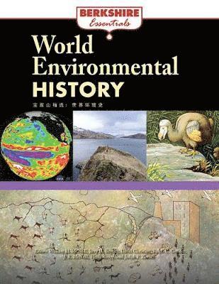 Jerry H. Bentley, David Christian, Ralph C. Croizier, John R. McNeill, William H. McNeill - World Environmental History, Häftad