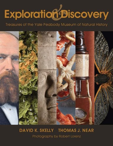 David K Skelly, Thomas J. Near - Exploration and Discovery, Häftad