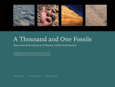 Faysal Bibi, Andrew Hill, Mark Beech - Thousand and One Fossils, Inbunden