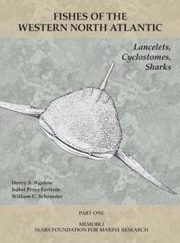 bokomslag Lancelets, Cyclostomes, Sharks