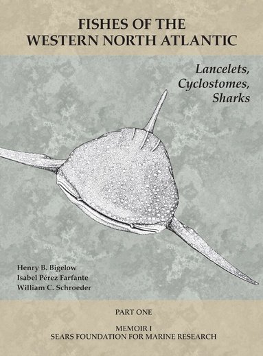 Henry B. Bigelow, Isabel Perez Farfante, William C. Schroeder - Lancelets, Cyclostomes, Sharks, Häftad