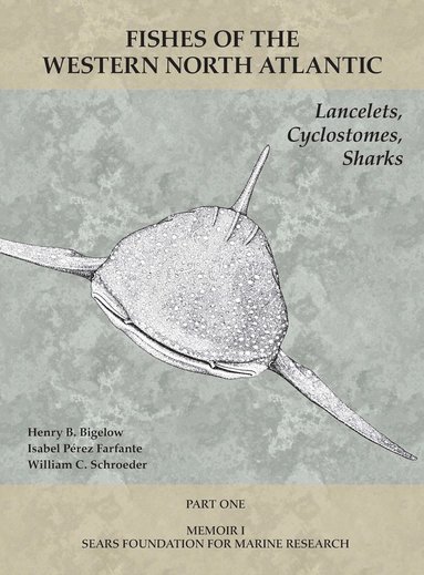 bokomslag Lancelets, Cyclostomes, Sharks