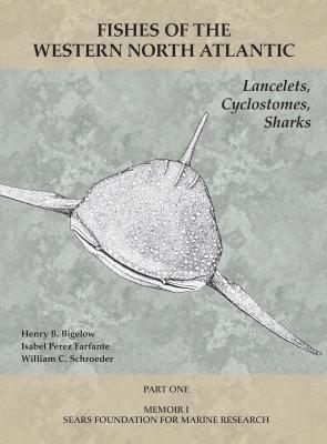 Lancelets, Cyclostomes, Sharks 1