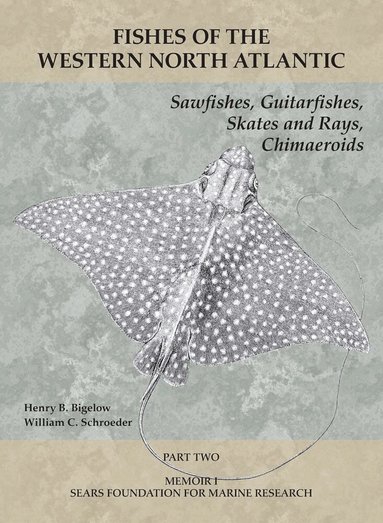 Henry B. Bigelow, William C. Schroeder - Sawfishes, Guitarfishes, Skates and Rays, Chimaeroids, Häftad