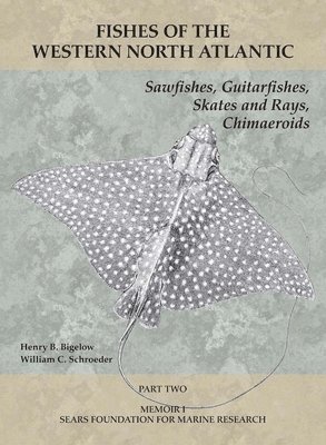 Sawfishes, Guitarfishes, Skates and Rays, Chimaeroids 1