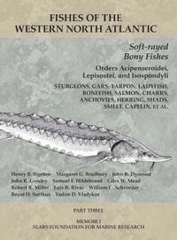 bokomslag Soft-rayed Bony Fishes: Orders Acipenseroidei, Lepisostei, and Isospondyli
