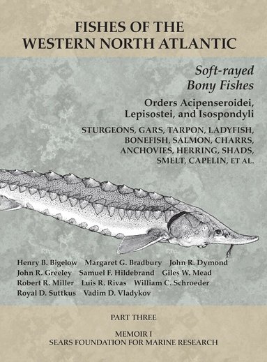 Henry B. Bigelow, Margaret G. Bradbury, John R Dymond, John R Greeley, Samuel F Hildebrand, Giles W Mead, Robert R Miller, Luis R Rivas, William C. Schroeder, Royal D Suttkus, Vadim D Vladykov - Soft-rayed Bony Fishes: Orders Acipenseroidei, Lepisostei, and Isospondyli, Häftad
