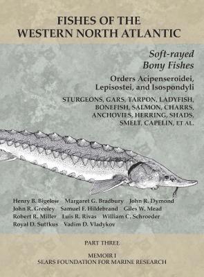 Soft-rayed Bony Fishes: Orders Acipenseroidei, Lepisostei, and Isospondyli 1