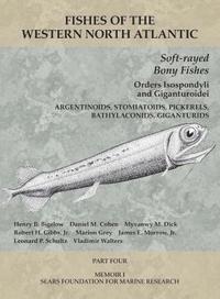 bokomslag Soft-rayed Bony Fishes: Orders Isospondyli and Giganturoidei