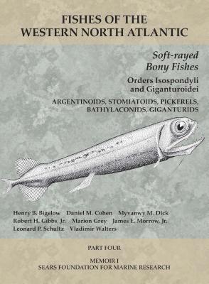 bokomslag Soft-rayed Bony Fishes: Orders Isospondyli and Giganturoidei